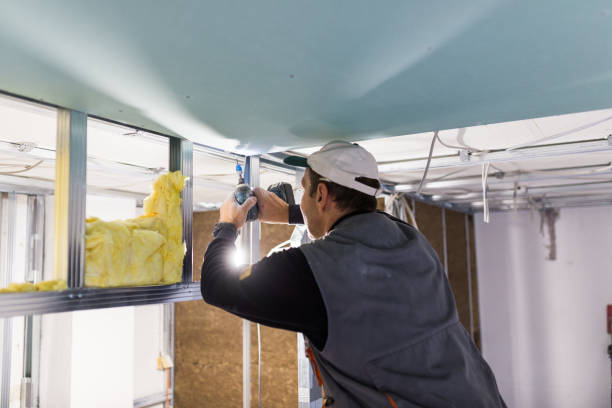 Best Insulation Installation Services in Island Park, NY